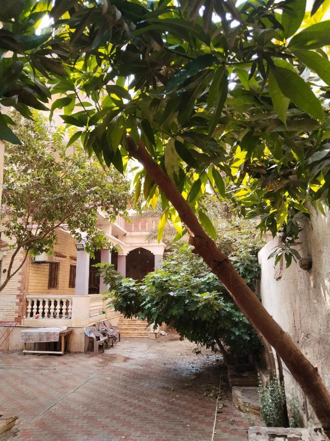 Giza View Apartment
